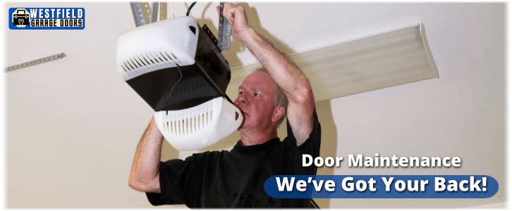 Garage Door Maintenance Westfield IN